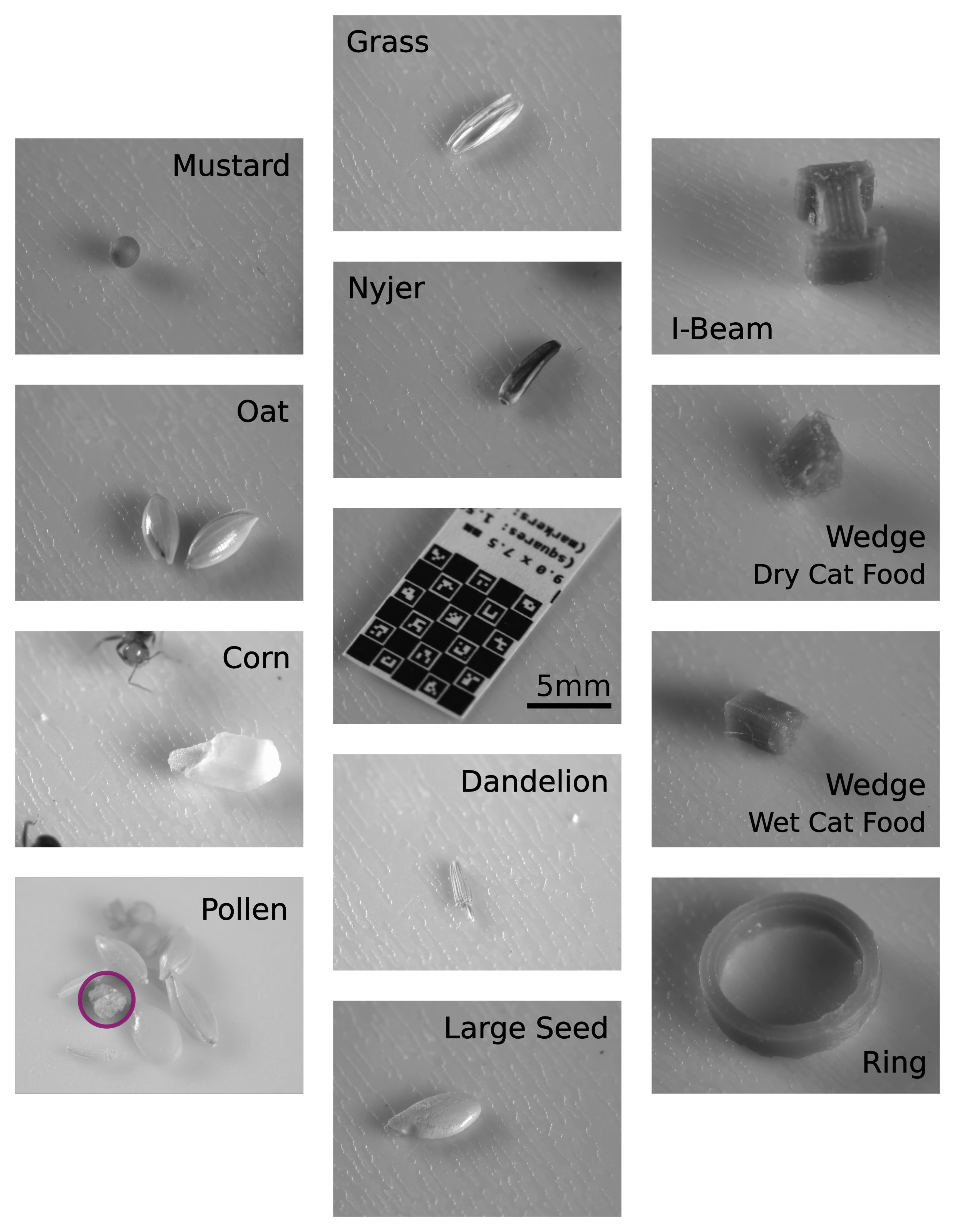 A series of images containing the different objects used in the experiment sessions. 
In the centre of the frame is an image of a ChAruCo marker that was used in the calibration videos. All images are taken from the same camera so the ChAruCo board can be used for scale.